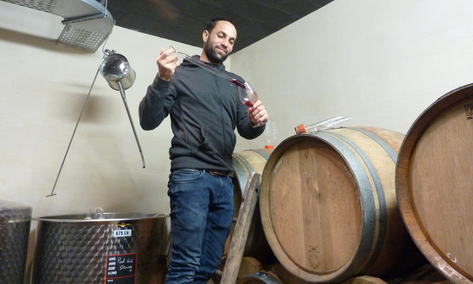 Domaine Mann Domaine Mann