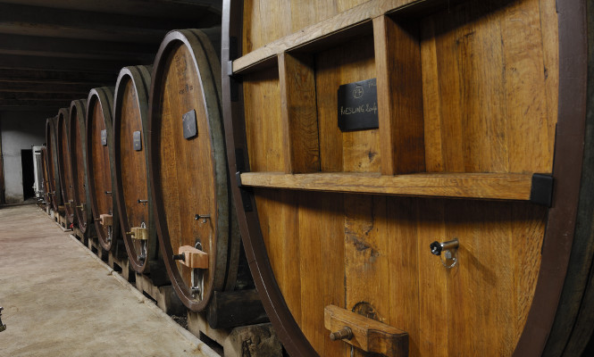Domaine Sipp Domaine Sipp